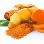 Curcuma
